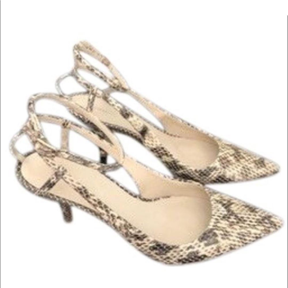 Alexander Wang Snake Jodie Slingback Pumps